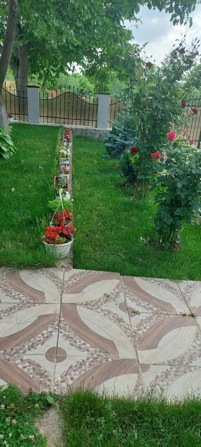 Pensiunea Happy Flowers Greci Екстер'єр фото